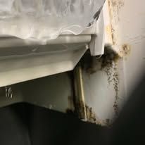 CSI Gallery Image