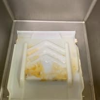 CSI Gallery Image