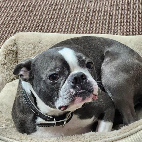 Nelson