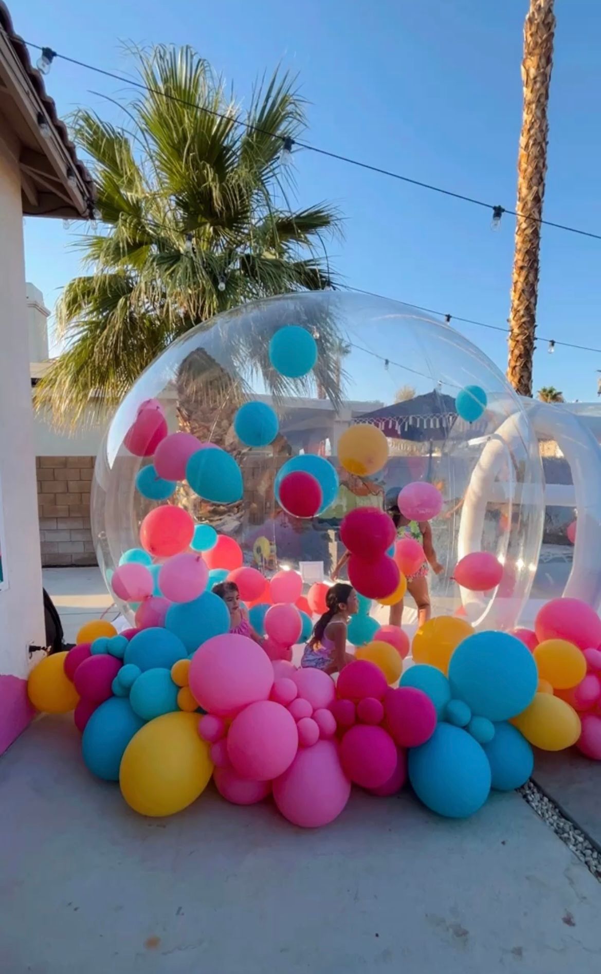Clear balloon dome with colorful pink, blue, and yellow balloons outdoors near a palm tree