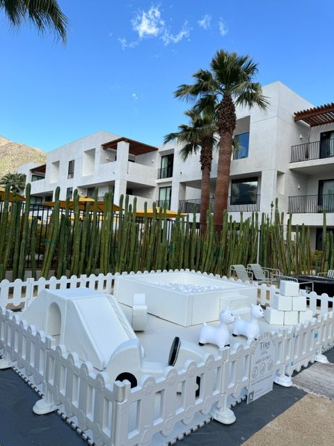 White fenced outdoor patio with lounge chairs, palm trees, and modern white buildings under a blue sky