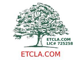 Tree Services in Malibu, CA | Environmental Tree Care Inc. Tree Services in Malibu, CA | Environmental Tree Care Inc.