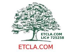 Tree Services in Malibu, CA | Environmental Tree Care Inc. Tree Services in Malibu, CA | Environmental Tree Care Inc.