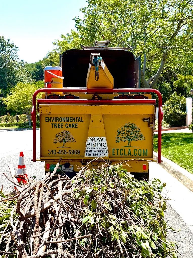 About Environmental Tree Care Inc. in Malibu, CA About Environmental Tree Care Inc. in Malibu, CA