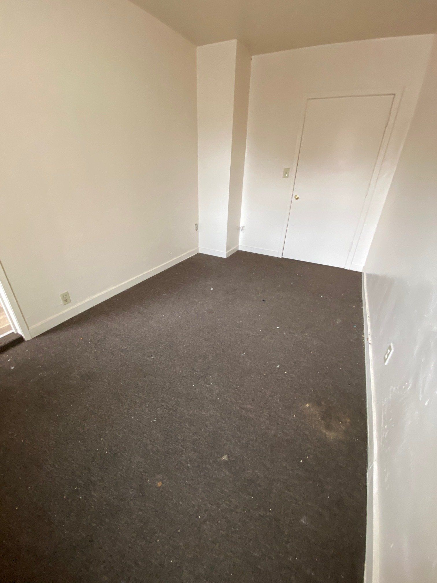 Empty beige room with dark carpet and a closed white door.
