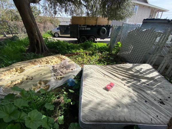 Backyard with a trailer, wooden platforms, trees, and a red object on the deck