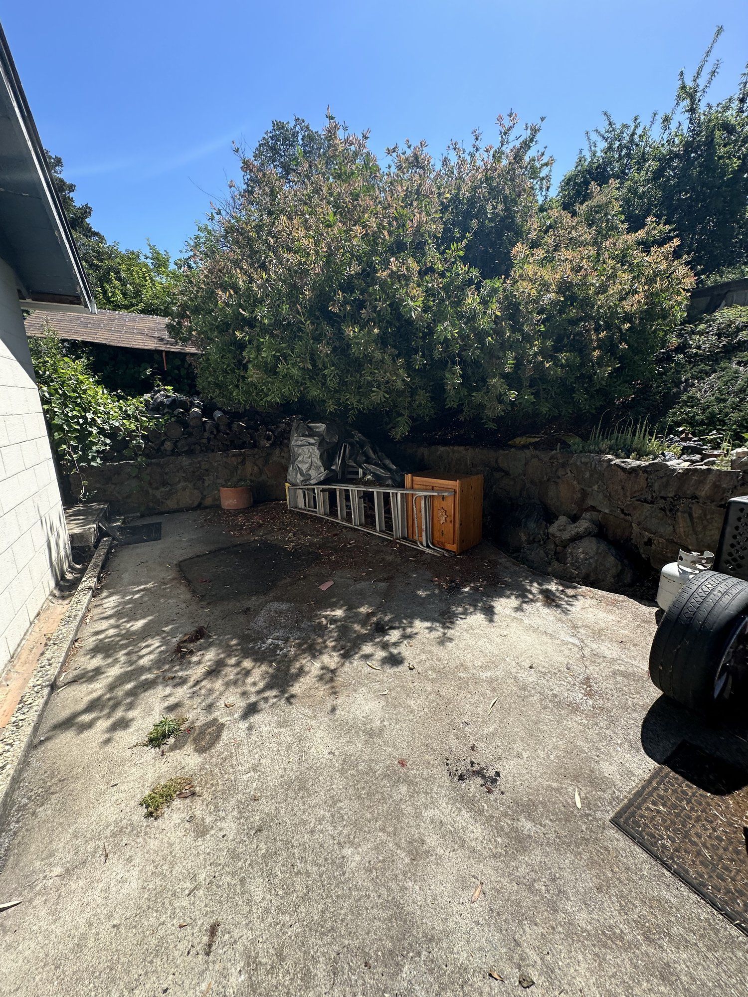 Cleared backyard after junk removal, Oroville, CA