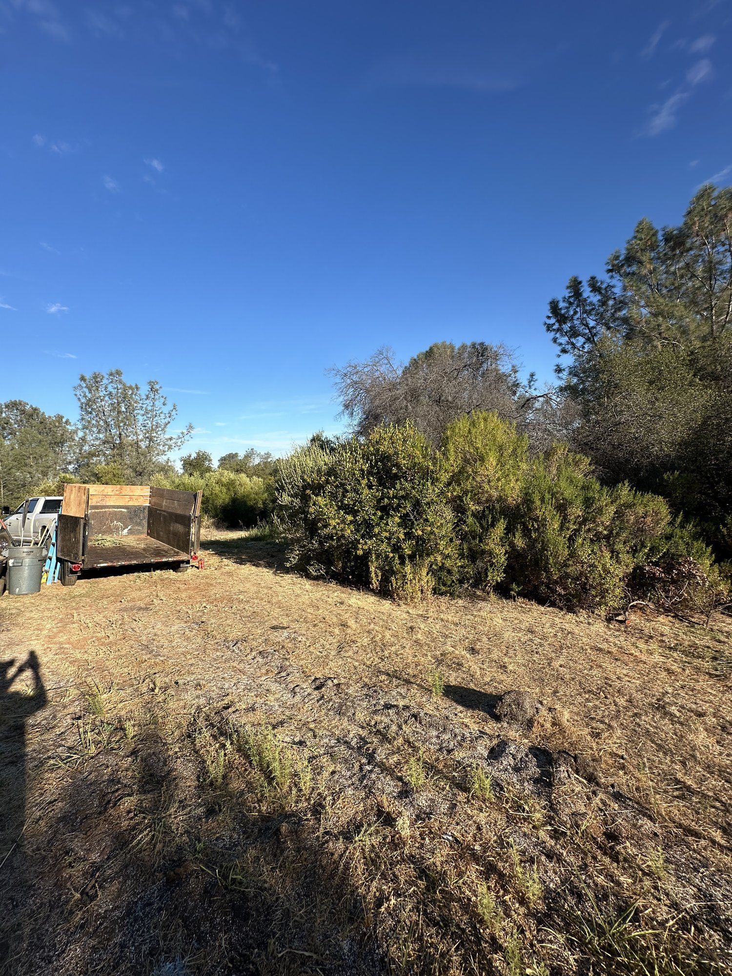 Cleared lot after brush and debris removal in Oroville, CA