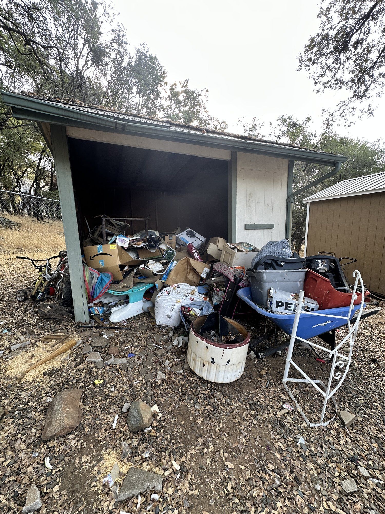 Old shed full of junk before demolition and cleanout