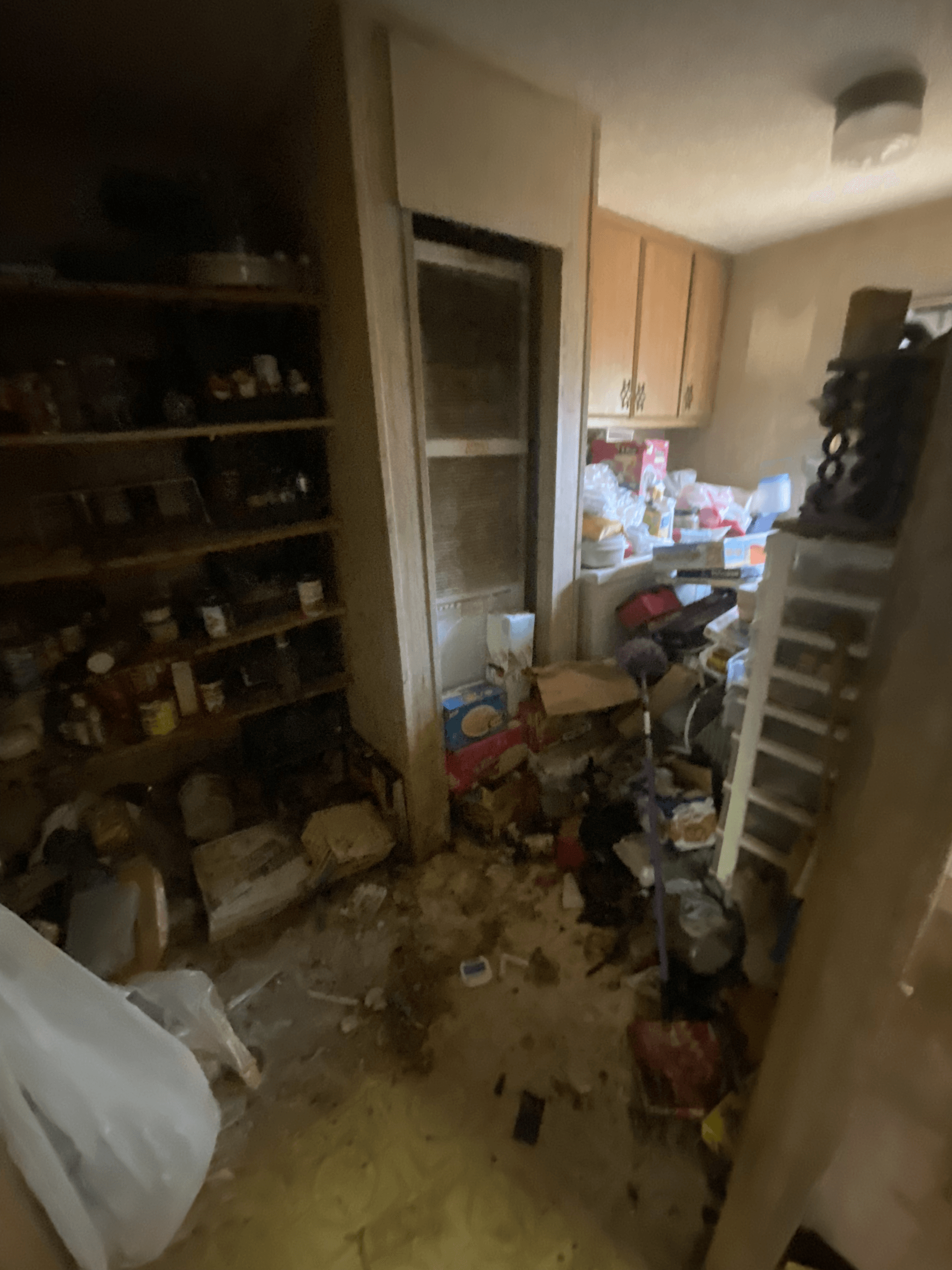 Cluttered kitchen with shelves, cabinets, and boxes piled on a messy floor.