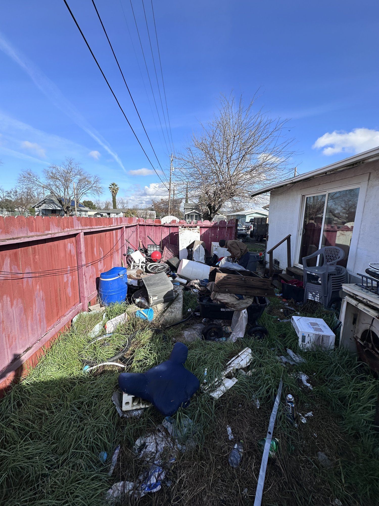 Overgrown backyard with junk before cleanout