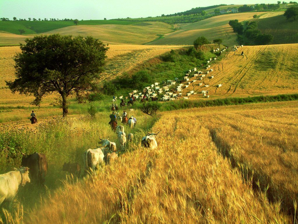 Tratturi in Molise, Italy
