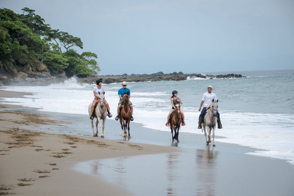 Costa Rica Strand Pferde Reisten