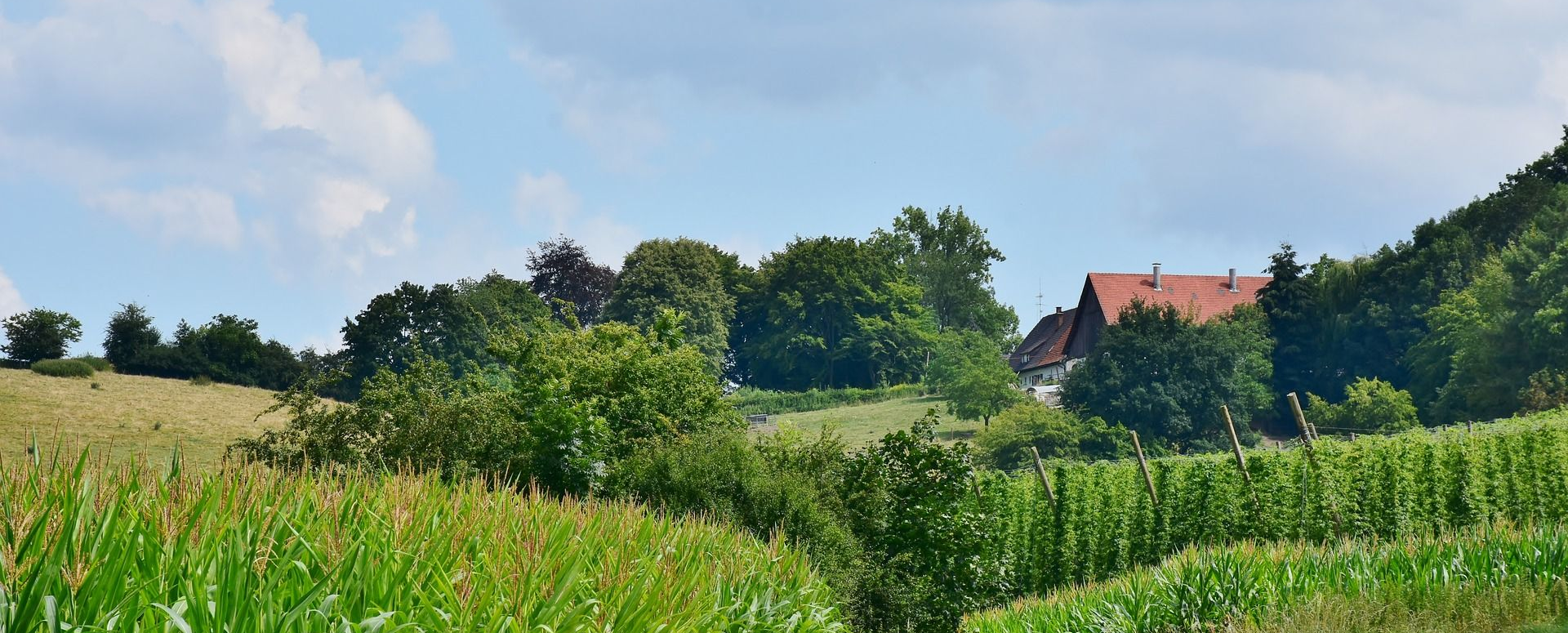 Hallertau Radreise