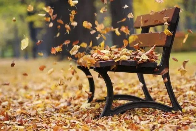 vernici per legno