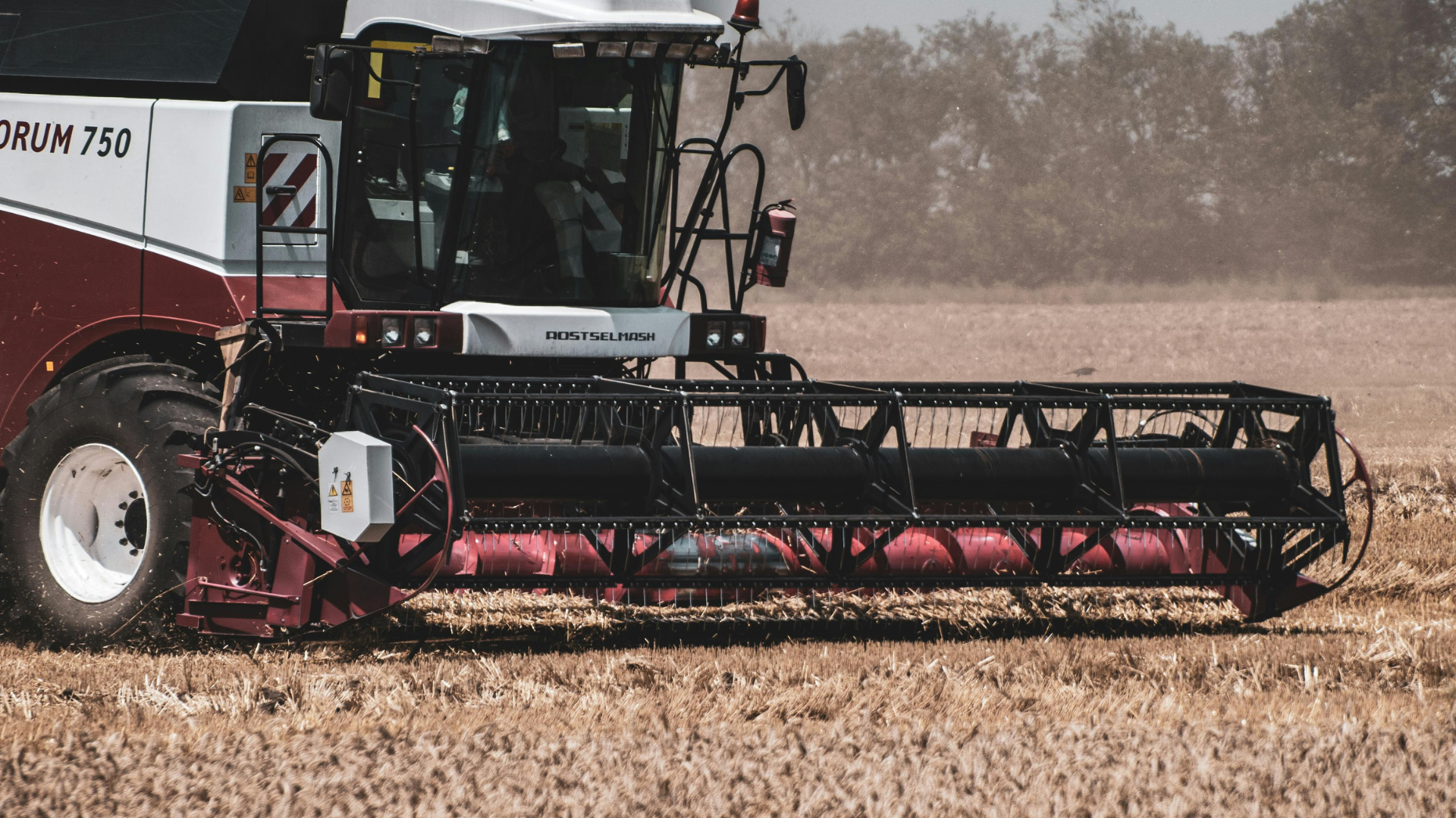 Red combine harvester cutting crops in a field, with a long black front header.