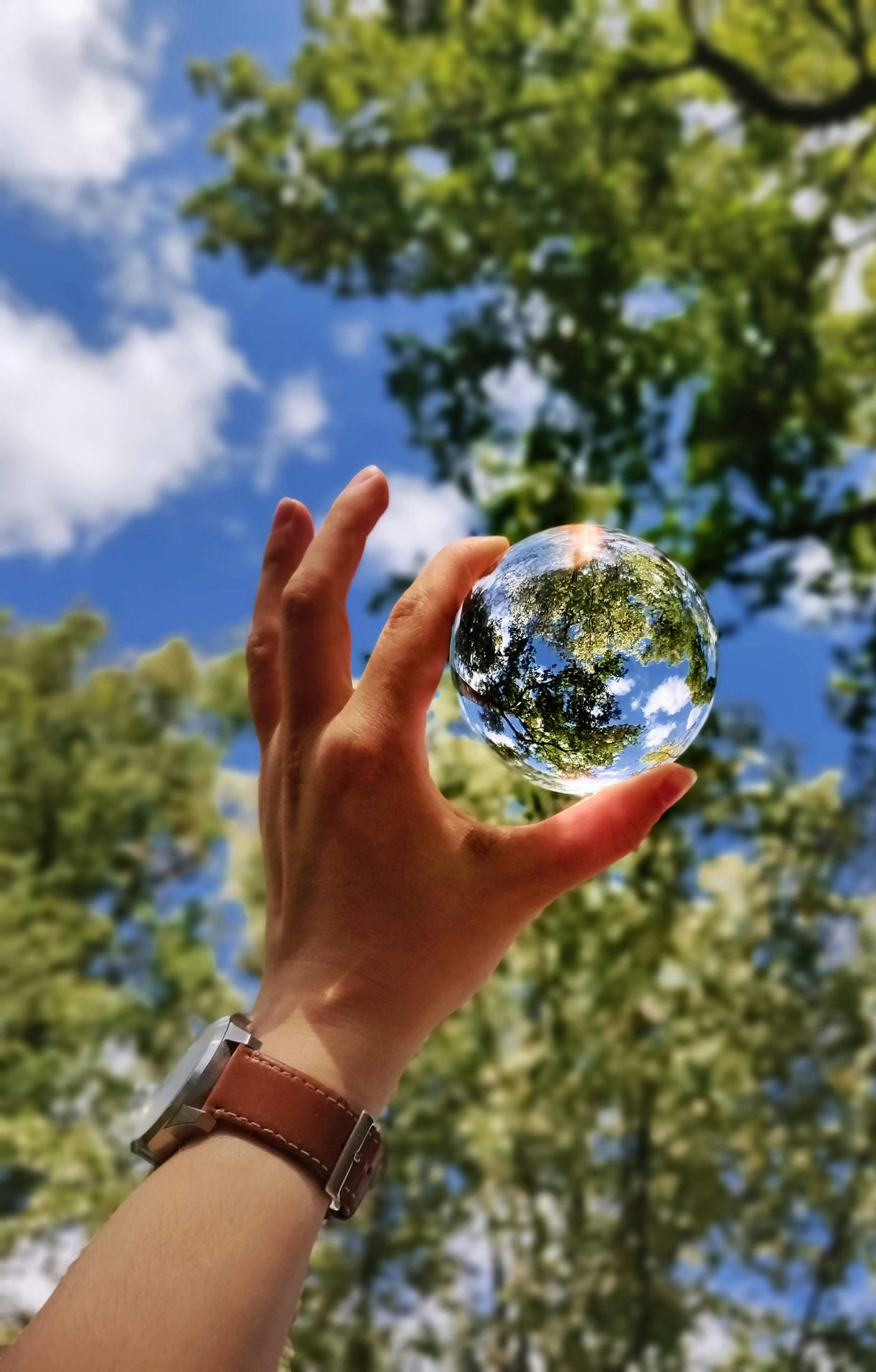 Hand holding a crystal ball reflecting a sunny sky and trees.