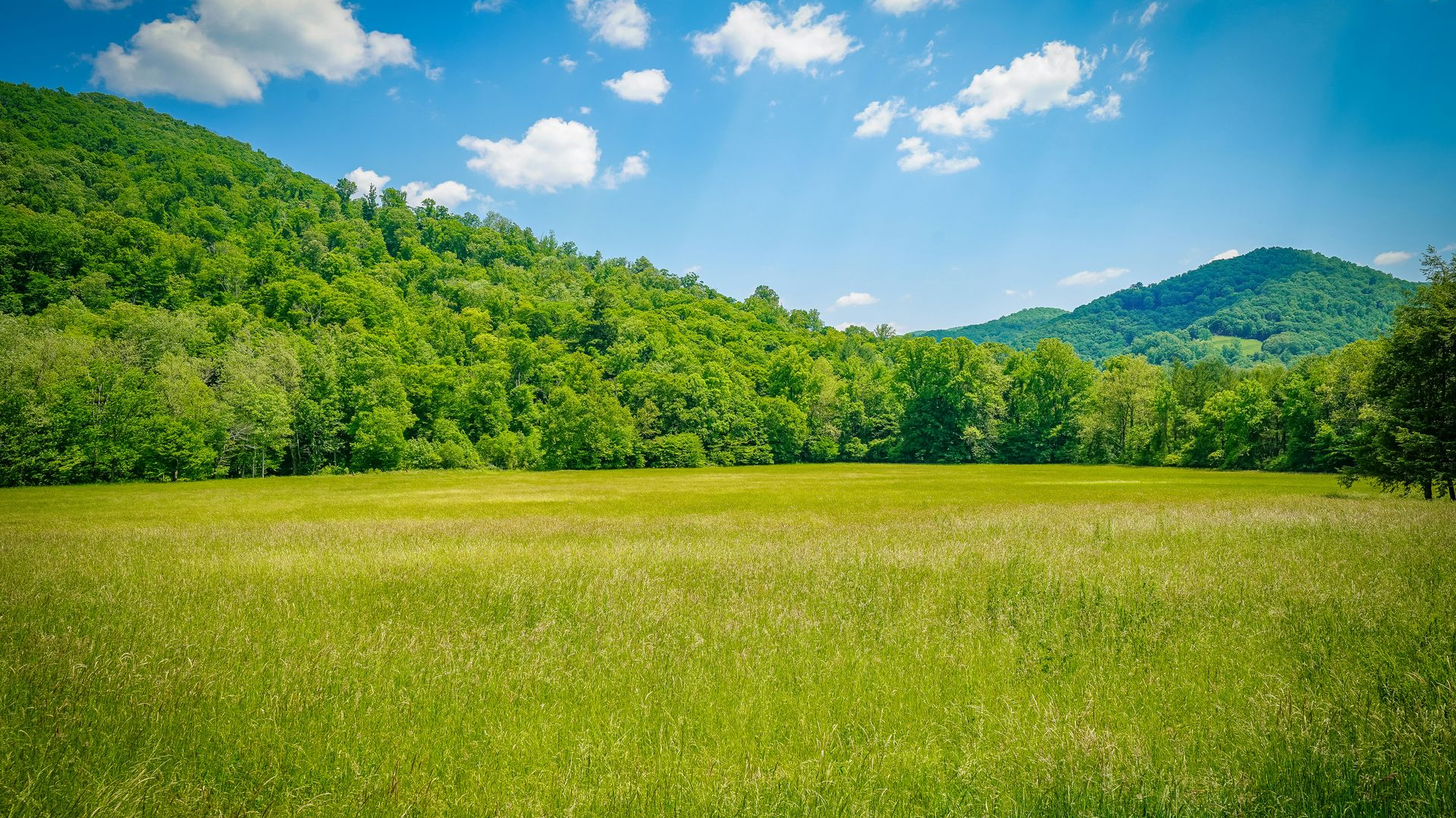 Lush green meadow, flanked by forested mountains, under a bright blue sky with fluffy white clouds.