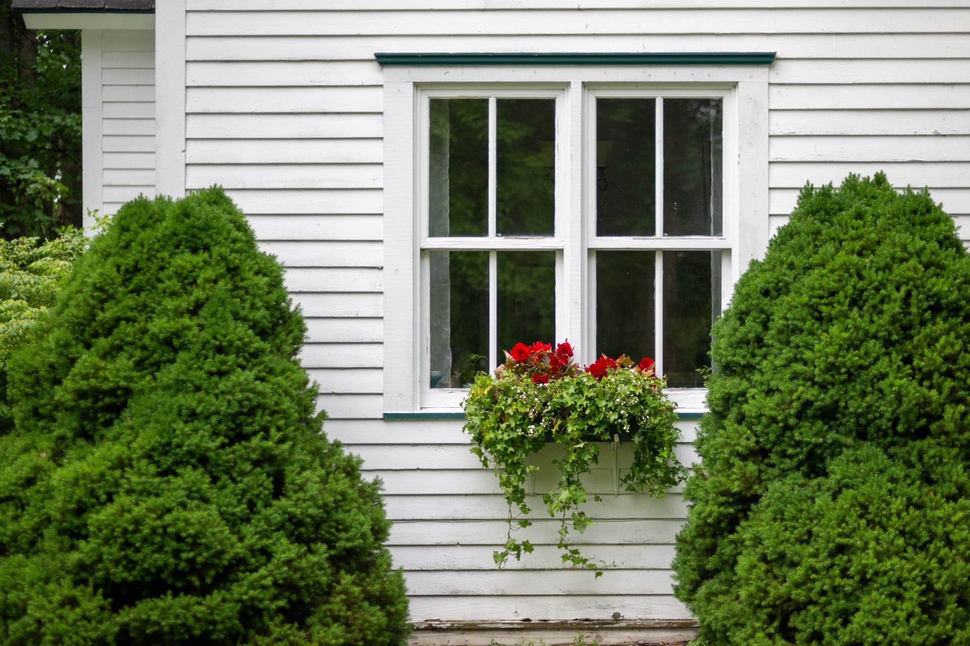 A white house with a window surrounded by green bushes.