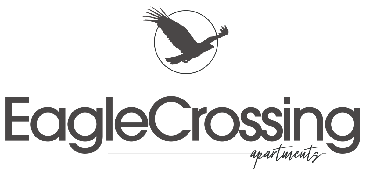 Company Logo - Click to go to Home Page
