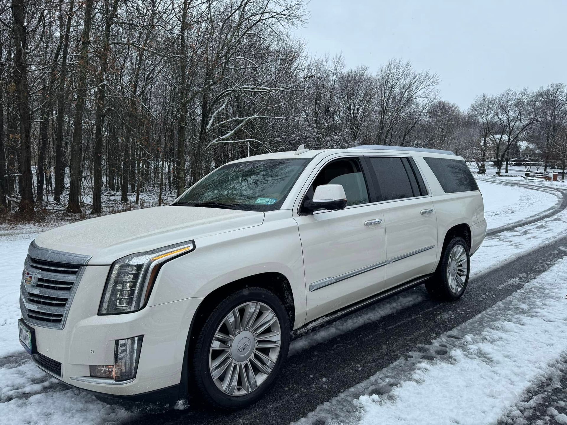 Armani's Limo Car Service & Mobile Detailing