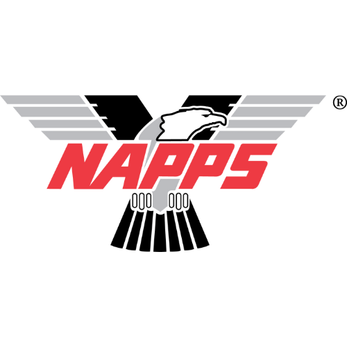 Integrity Discovery Solutions - NAPPS LOGO