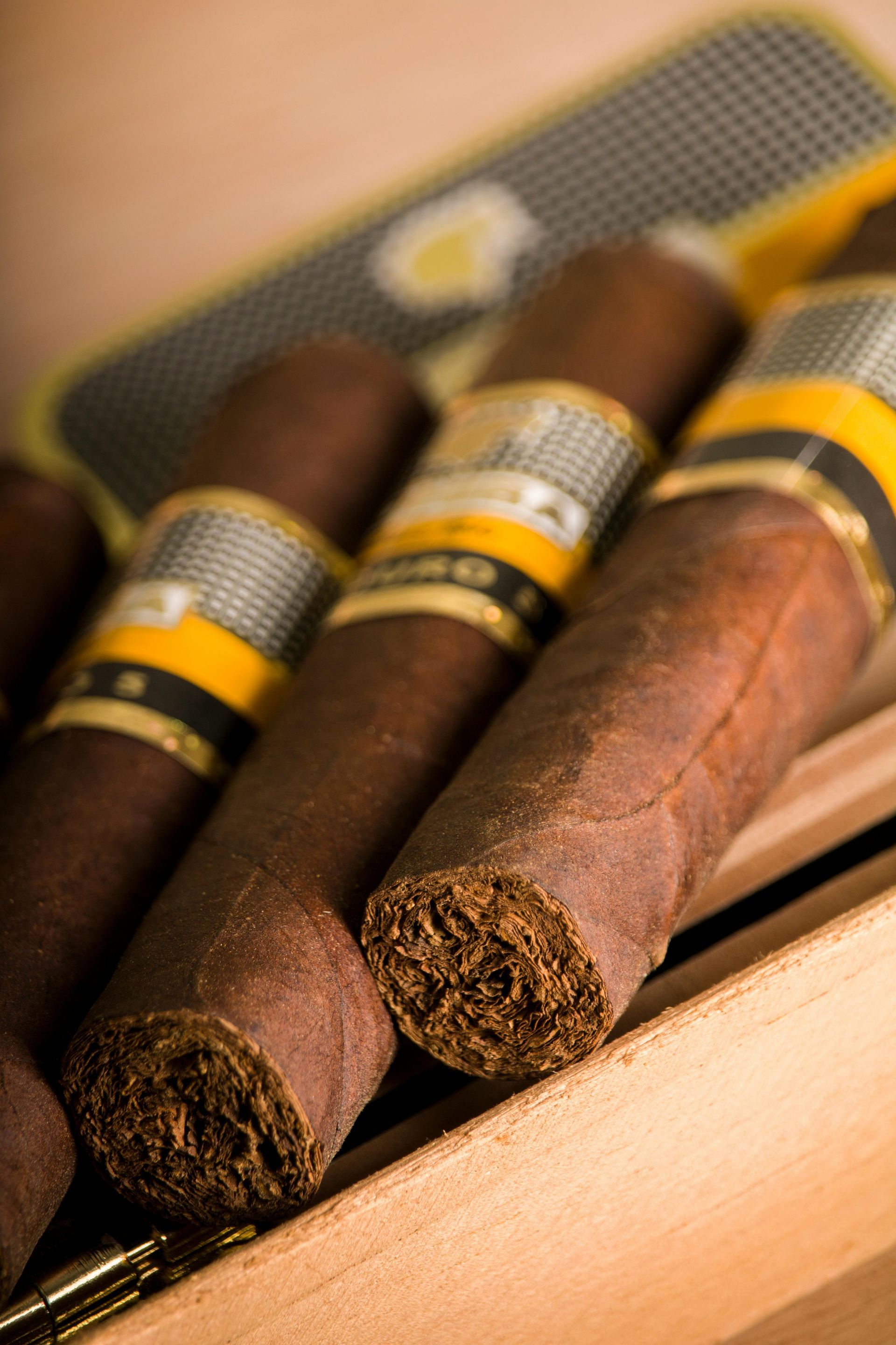Primo piano di sigari in un humidor di legno con fasce gialle e nere.