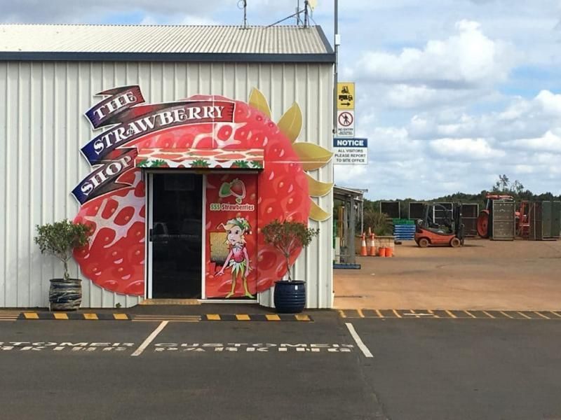 Supporting Strawberry Farmers with Sustainable Cooling