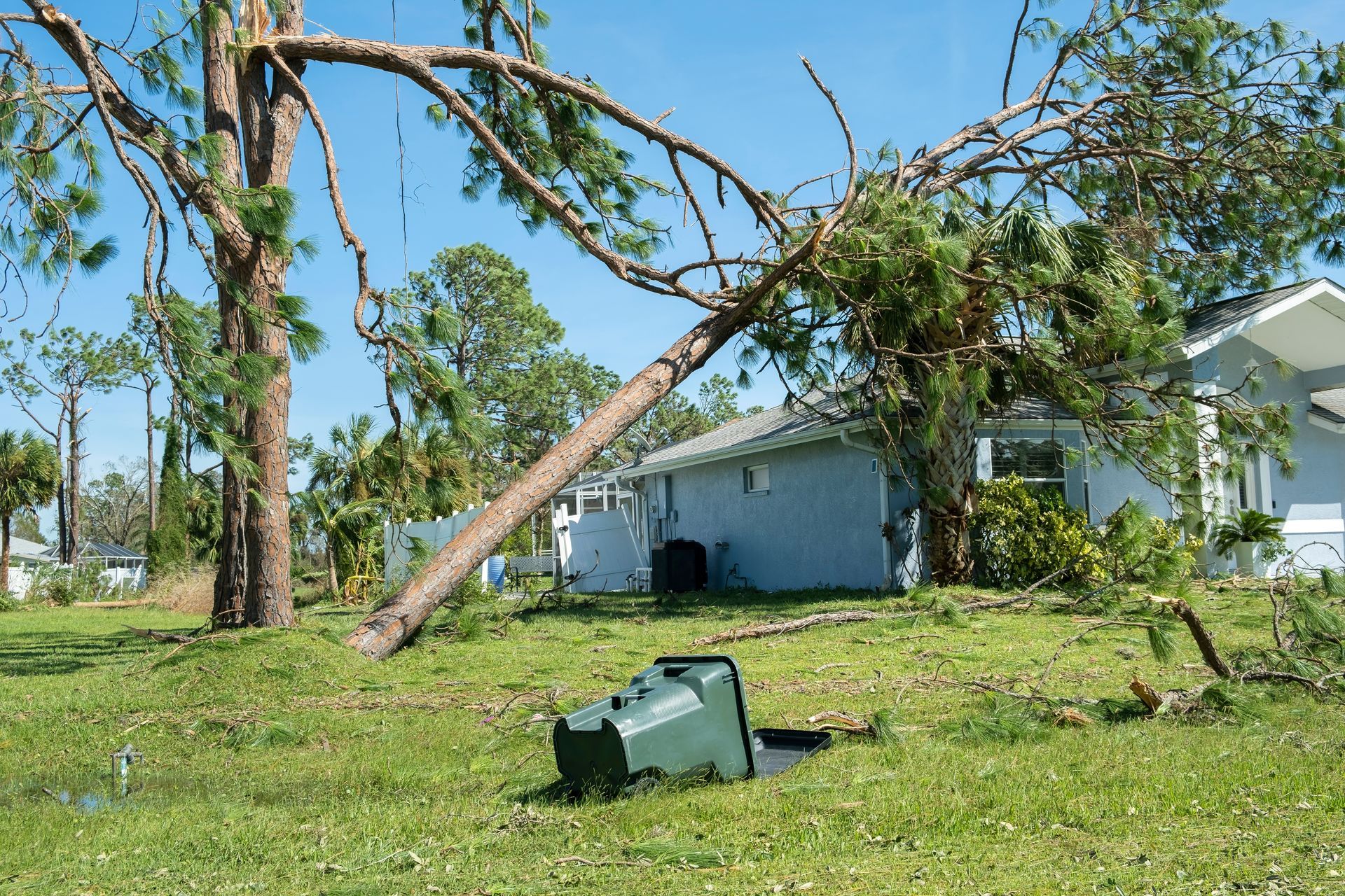 Storm-damaged yard with a fallen tree and broken branches near a white house, trash bin overturned in the grass