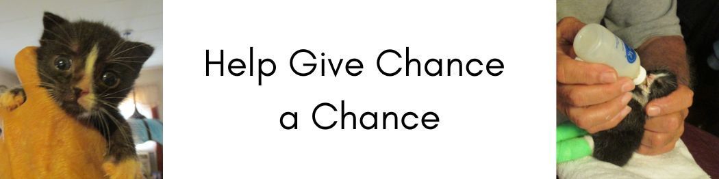 Help Give a Chance - Donations