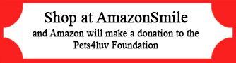 Shop at Amazon Smile