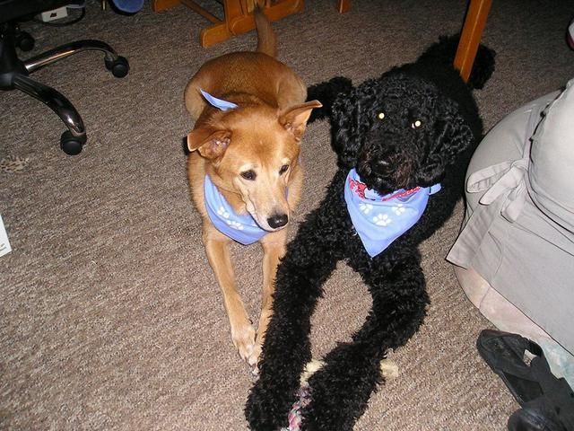 Princess & Monte