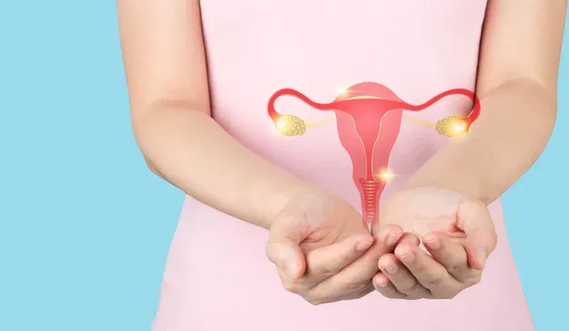 Woman holding uterus picture