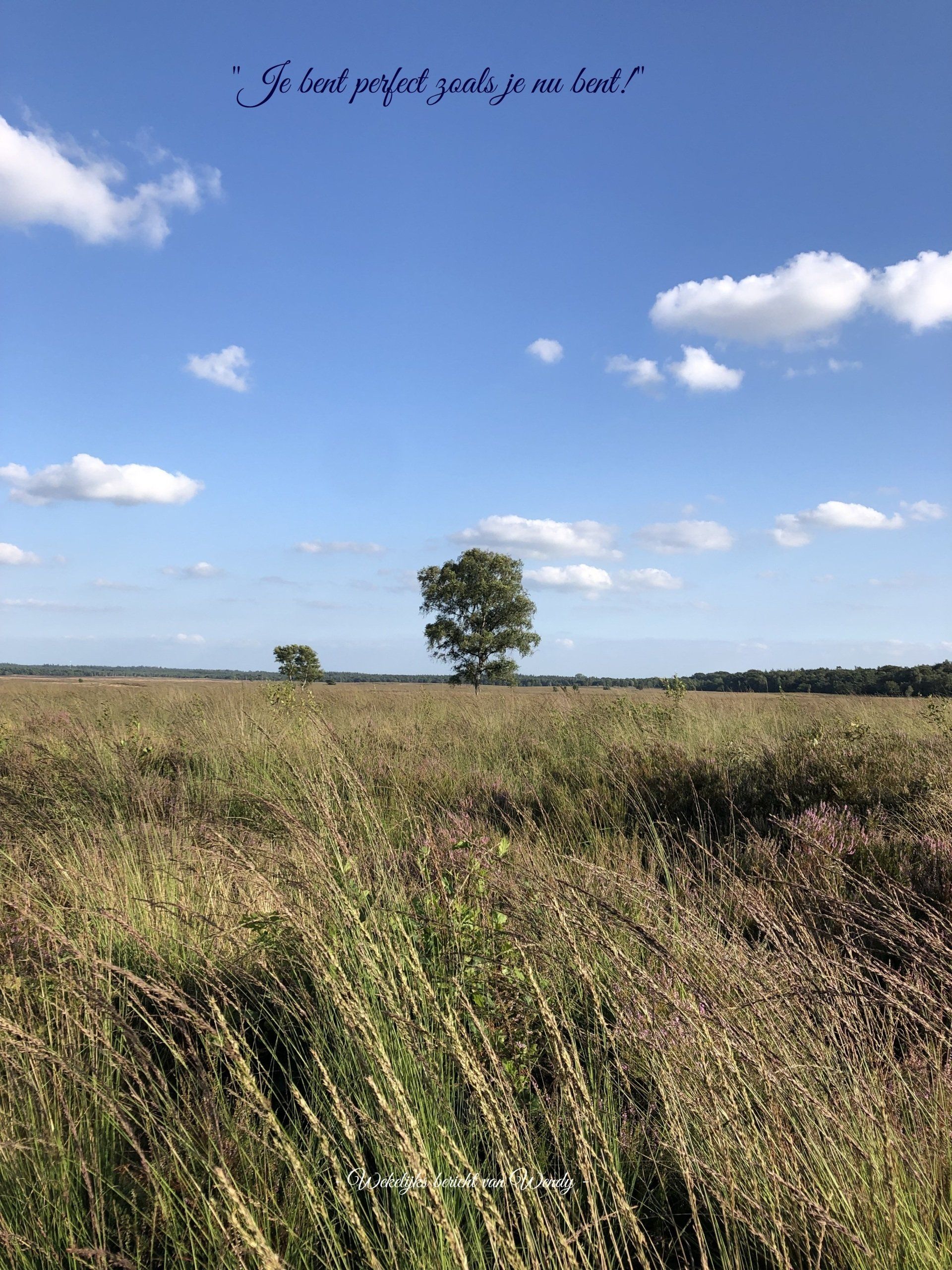 Landschap