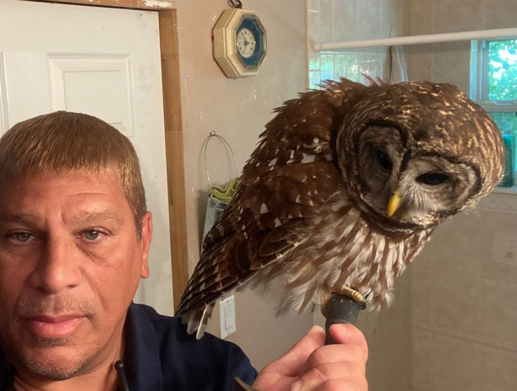 Man holding a brown owl indoors near a window, with the owl perched on his hand.