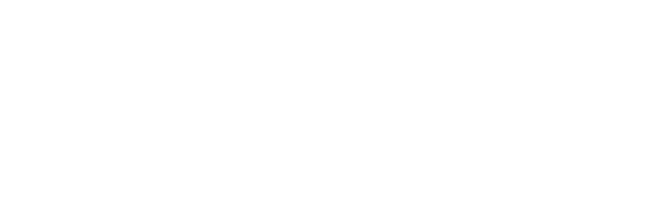 Stealth Satin PPF