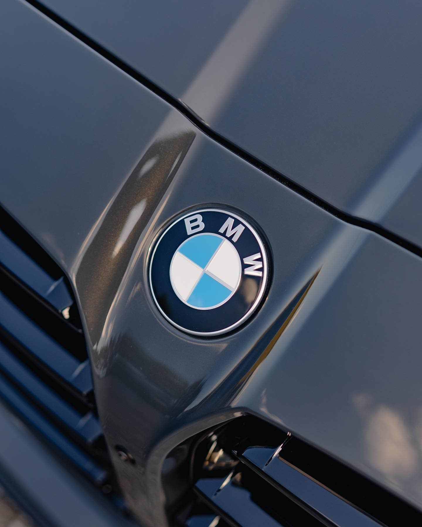 BMW emblem on a gray car hood. The logo features blue and white quadrants with a black outer ring.