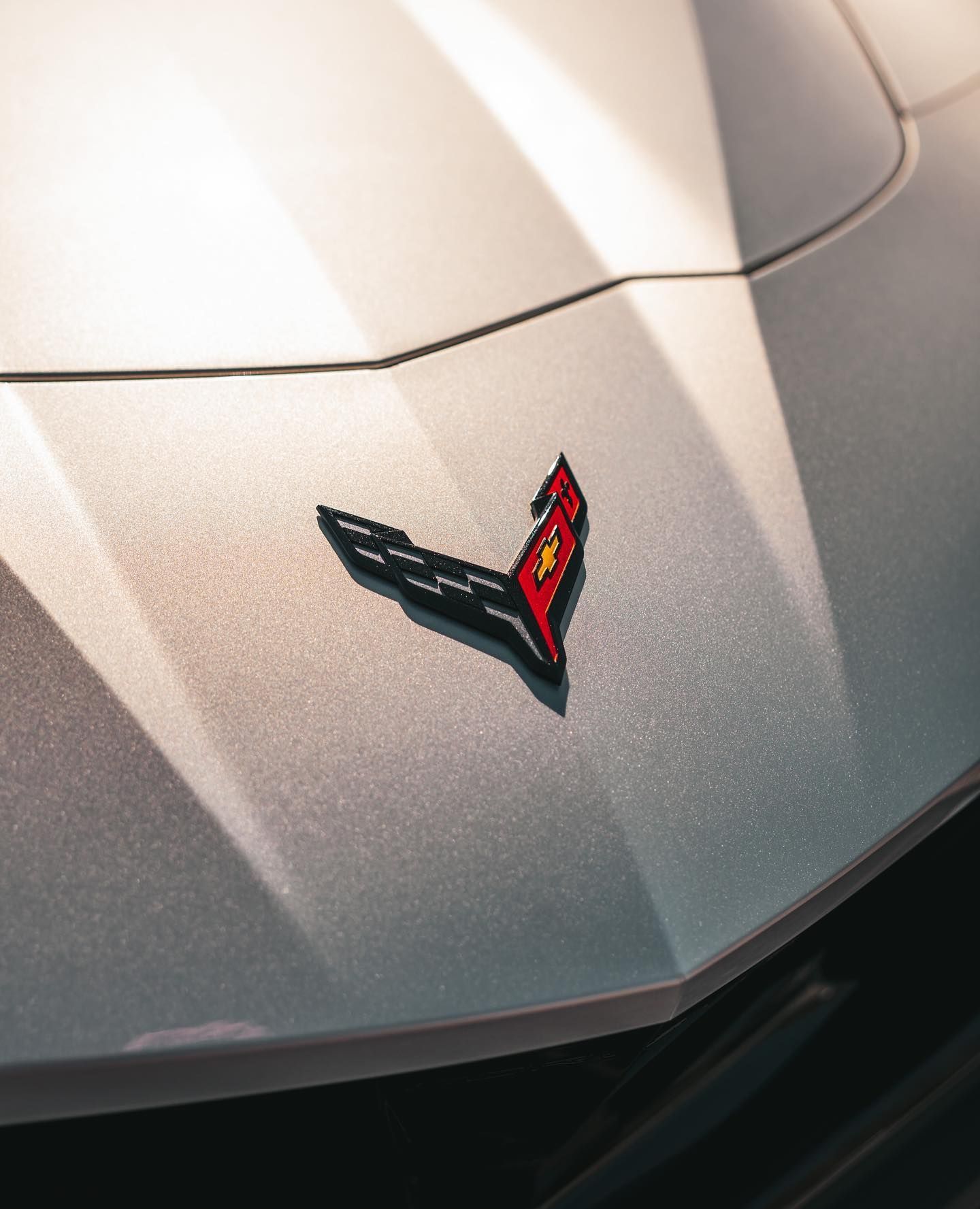 Close-up of a silver Corvette hood with the car's emblem in red and black.