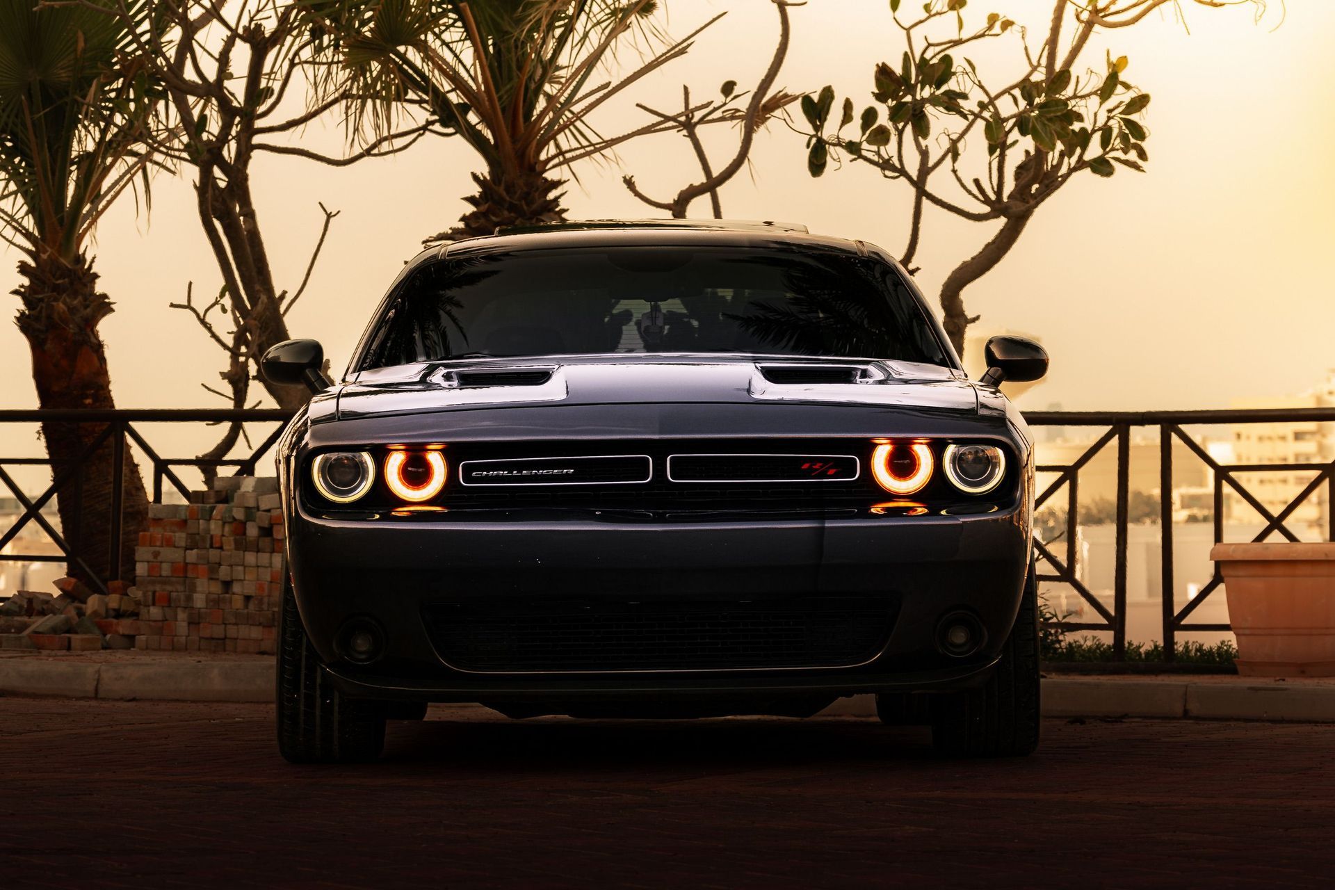White Dodge Charger, partially highlighted in blue, showing front and side panels.