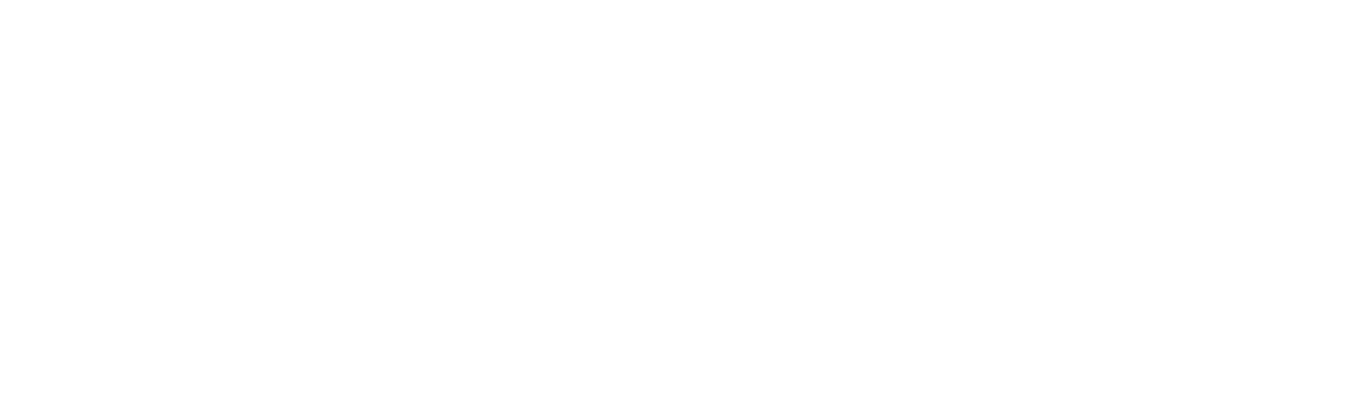 security service