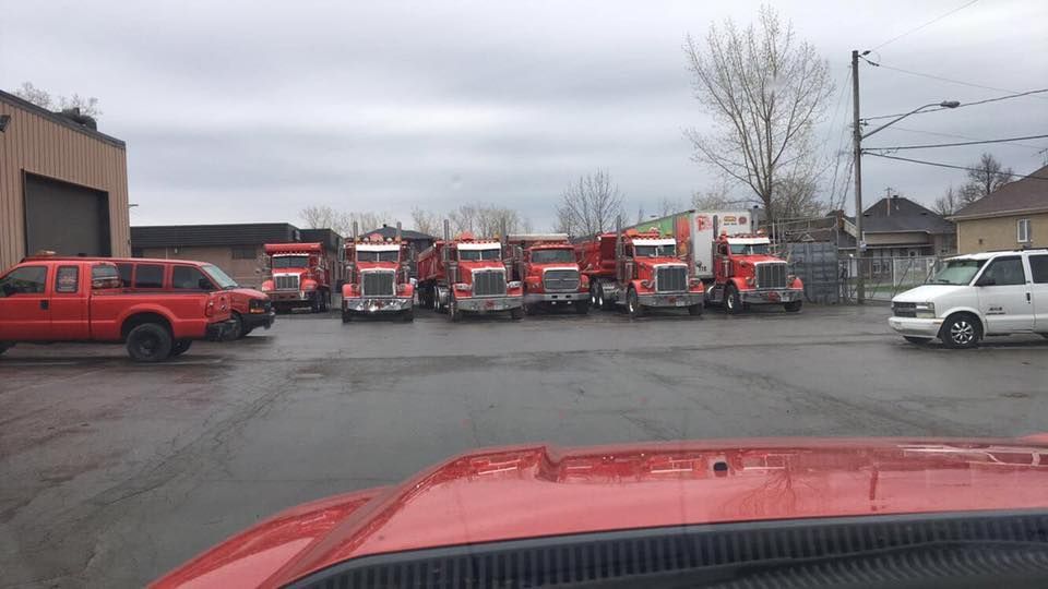A row of red dump trucks parked in an outdoor lot, viewed from the cab of another red vehicle.