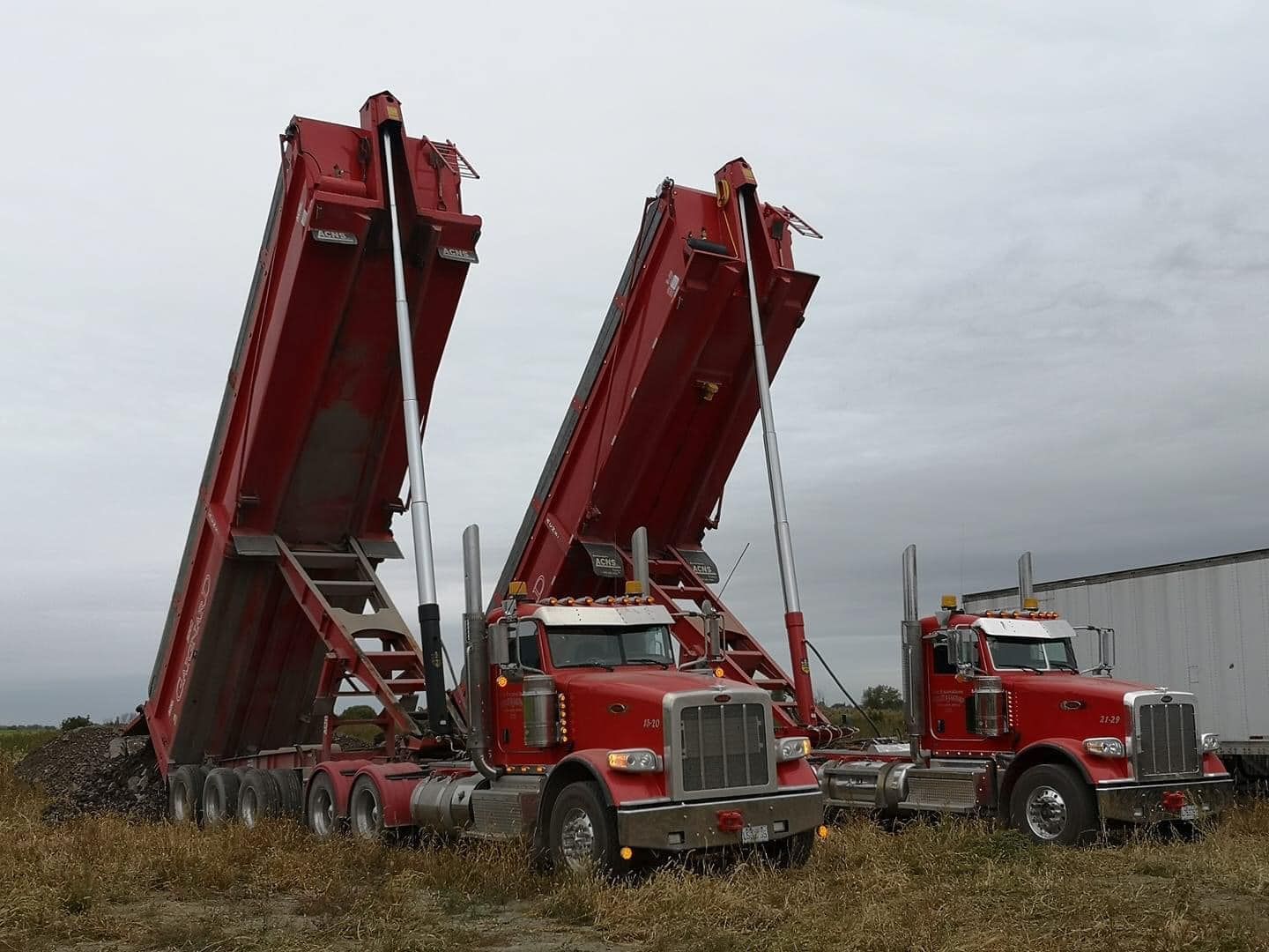 Deux camions-bennes rouges à plateau surélevé déchargent leur chargement dans un champ.
