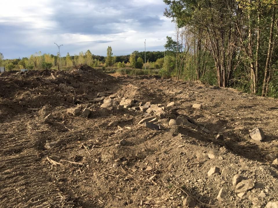 Tas de terre avec des pierres, arbres en arrière-plan, ciel nuageux.