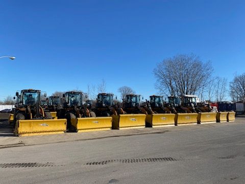 Several yellow snow plows parked in a row on a sunny day.