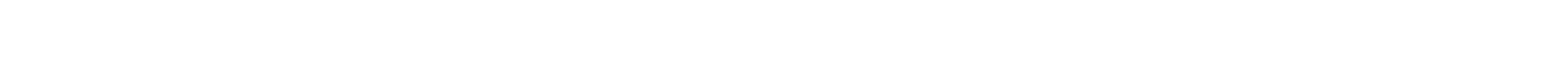 Blank white strip with a thin black line at the top and a gray line at the bottom
