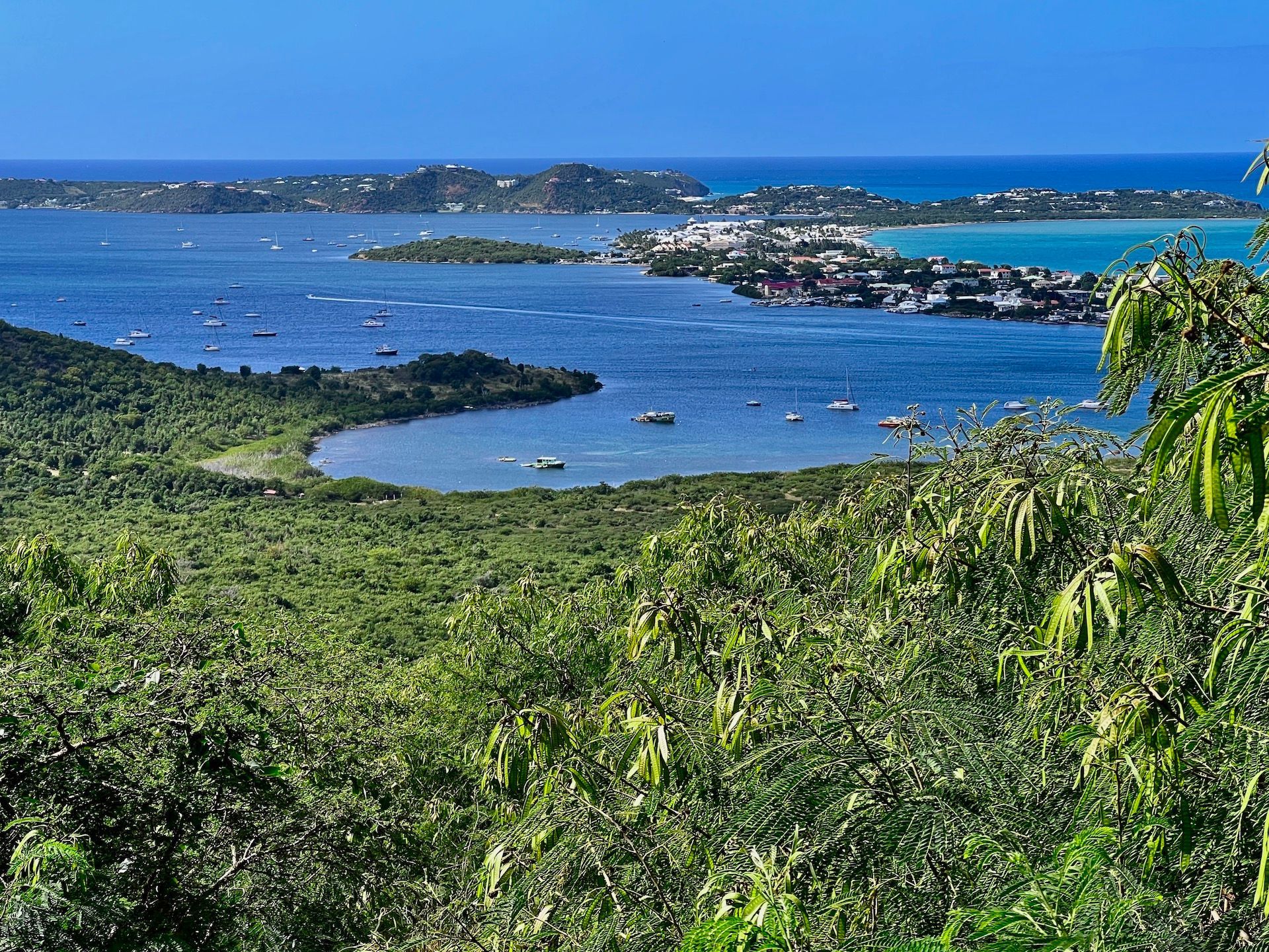 Overlook of tropical bay with green foliage in foreground, blue water, and town along the horizon.
