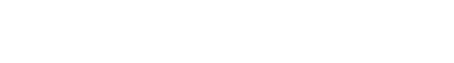 Lamination Services Inc