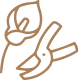 Two gold gardening tools: a trowel and pruning shears crossed on a white background