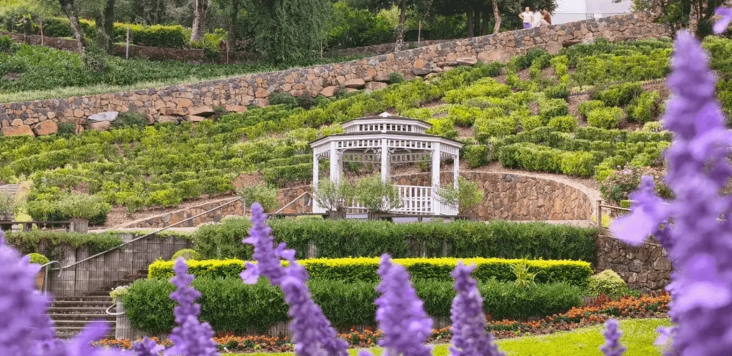 Coreto de madeira branca central em meio aos canteiros floridos do Le Jardin Parque de Lavanda em Gramado.