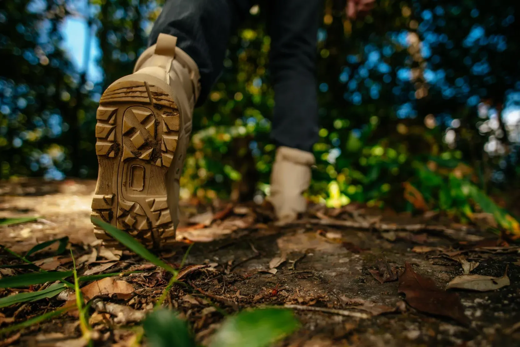 Pessoa caminhando com botas de trilha em solo de terra e folhas secas em meio à floresta ensolarada